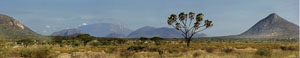 samburu sunset